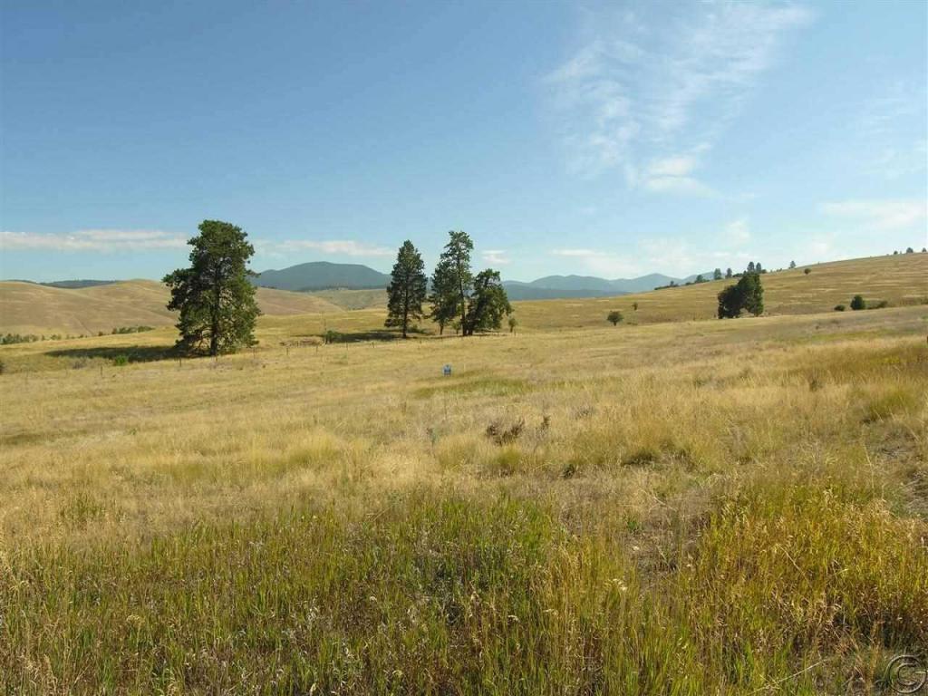 1003 Medicine Man Cluster, Missoula, MT 59808