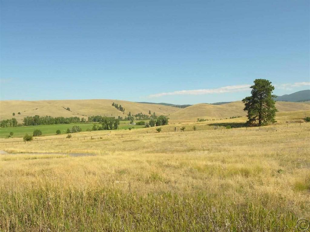 1003 Medicine Man Cluster, Missoula, MT 59808