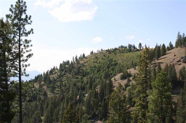 8863 Wallace Creek Road, Other, MT 59825
