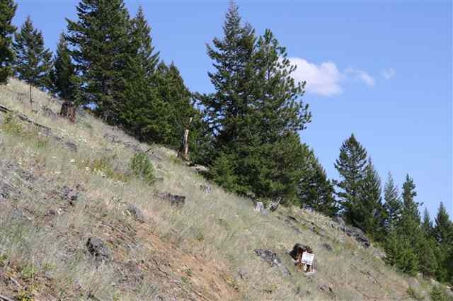 8863 Wallace Creek Road, Other, MT 59825