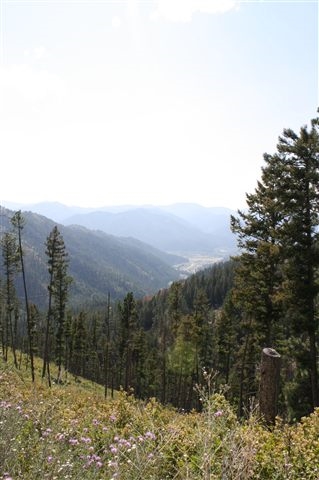 8863 Wallace Creek Road, Other, MT 59825