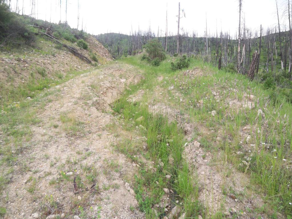 Wet Draw, Conner, MT 59827
