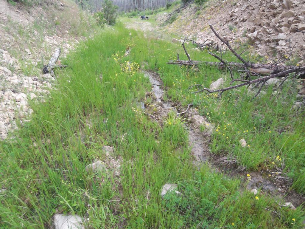 Wet Draw, Conner, MT 59827