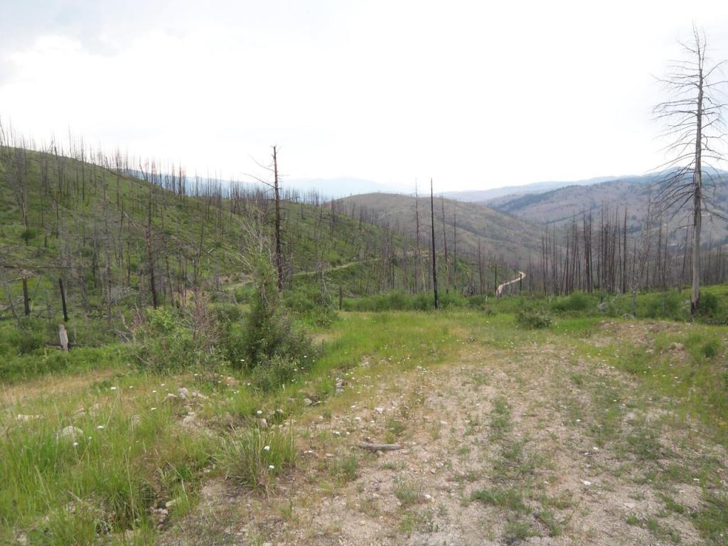 Lot 23Wet Draw RD, Conner, MT 59827