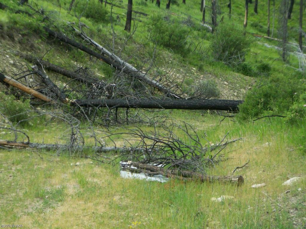 Lot 23Wet Draw RD, Conner, MT 59827