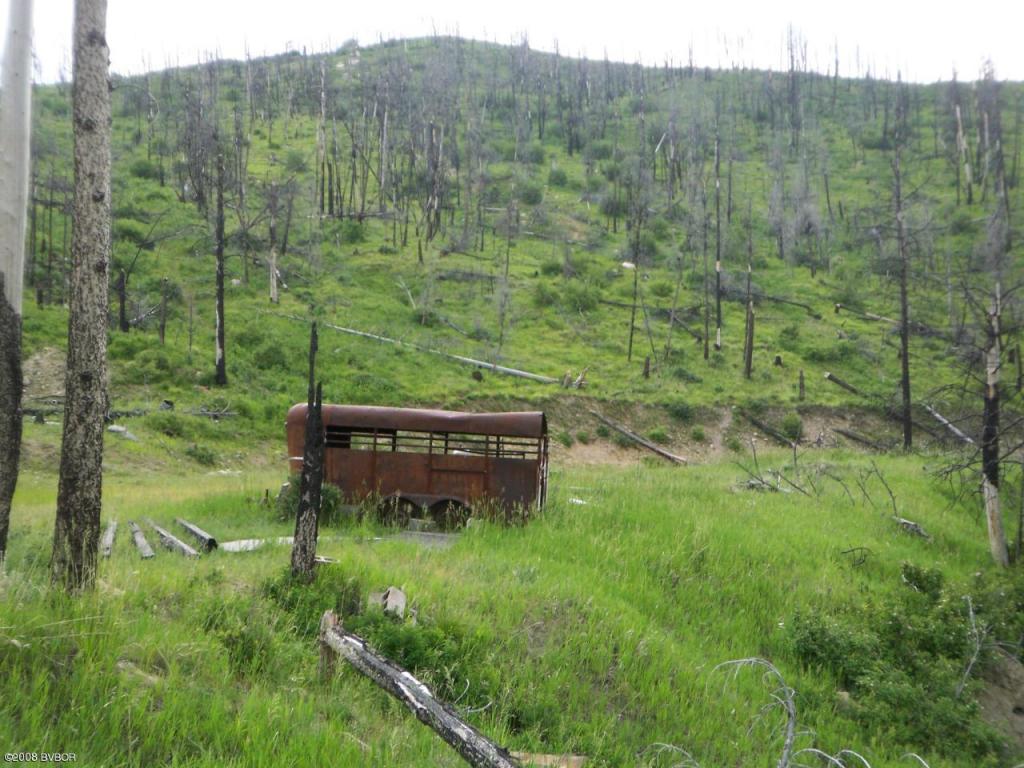 Lot 23Wet Draw RD, Conner, MT 59827