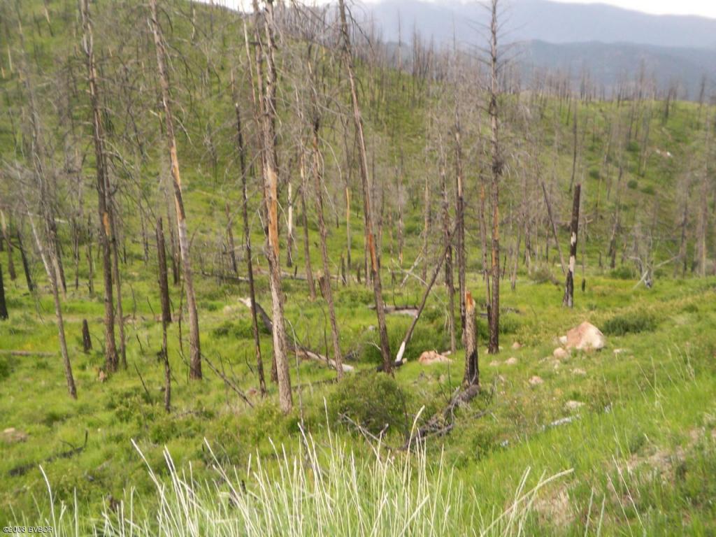 Lot 23Wet Draw RD, Conner, MT 59827