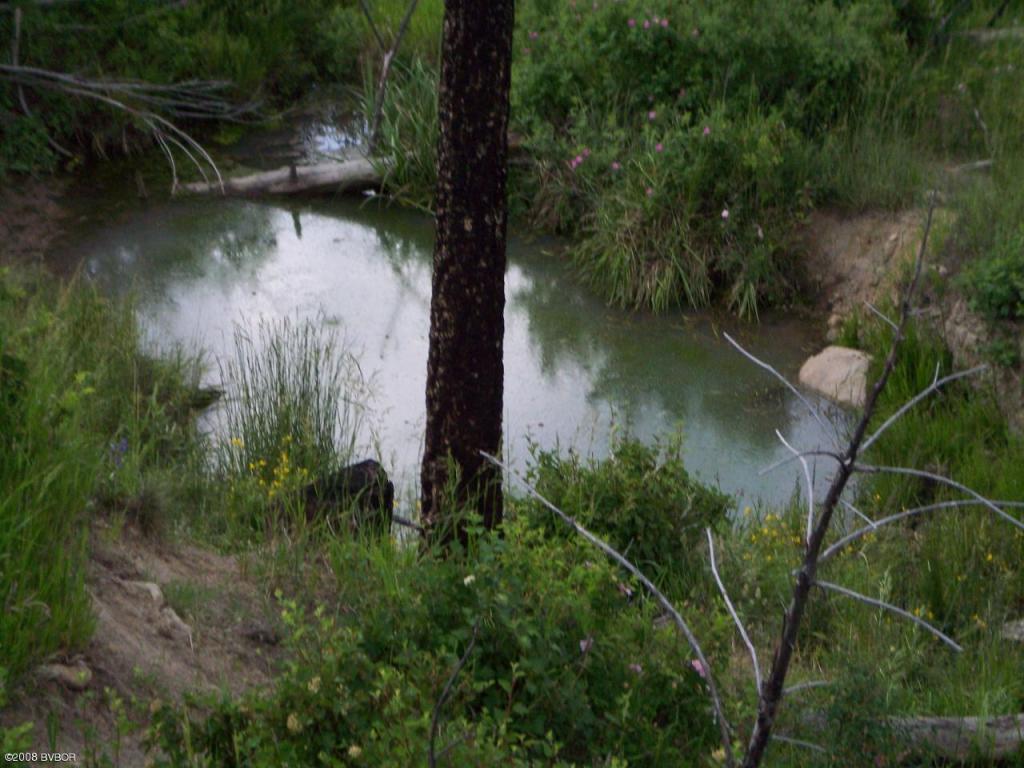 Lot 23Wet Draw RD, Conner, MT 59827