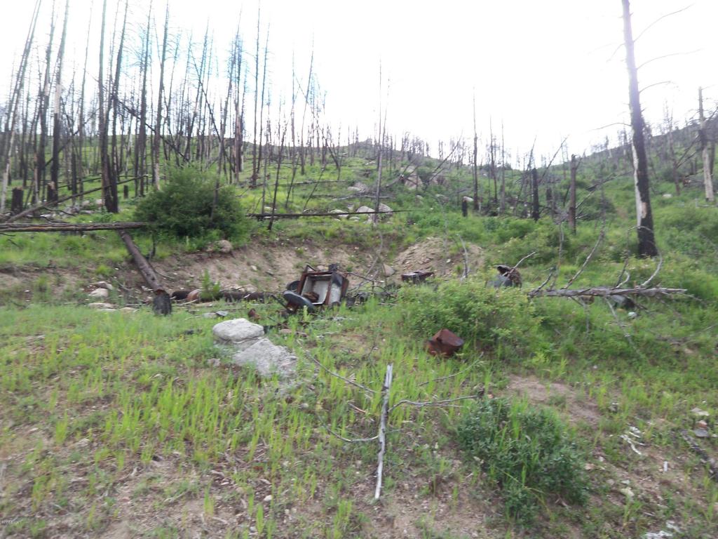 Lot 23Wet Draw RD, Conner, MT 59827