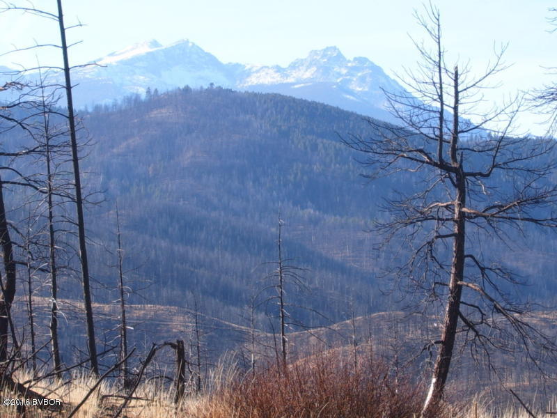 Lot 33Dickson Creek RD, Conner, MT 59827