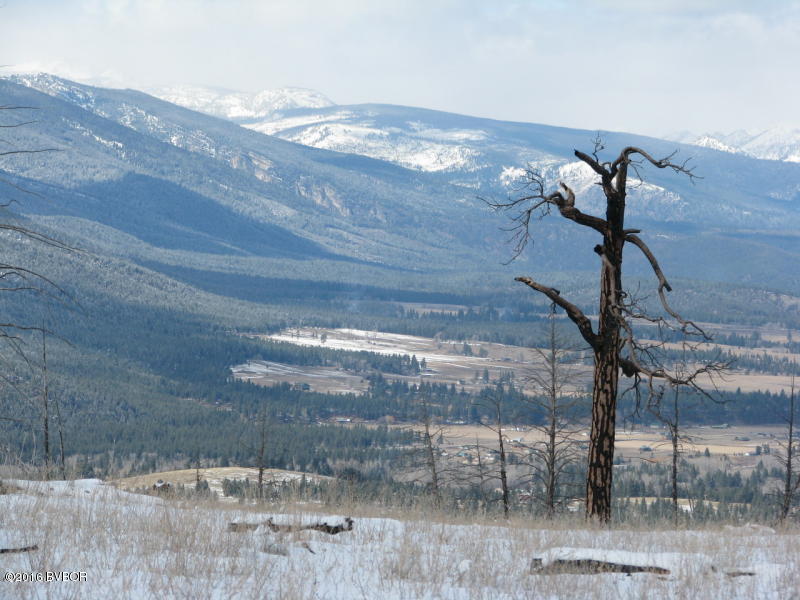 Lot 33Dickson Creek RD, Conner, MT 59827