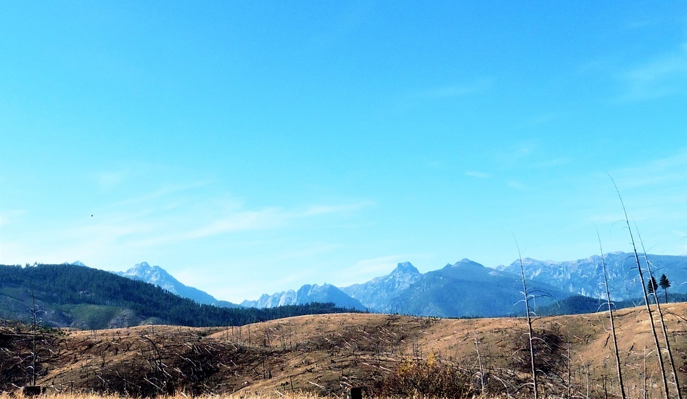 251 Wet Draw Rd, Conner, MT 59827