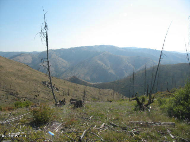 Lots32&33Dickson Creek RD, Conner, MT 59827