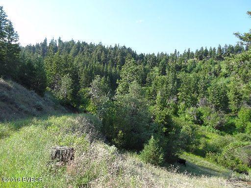 01Soft Rock RD, Corvallis, MT 59828