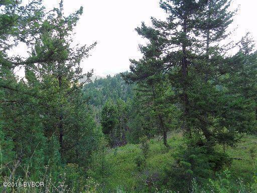 01Soft Rock RD, Corvallis, MT 59828