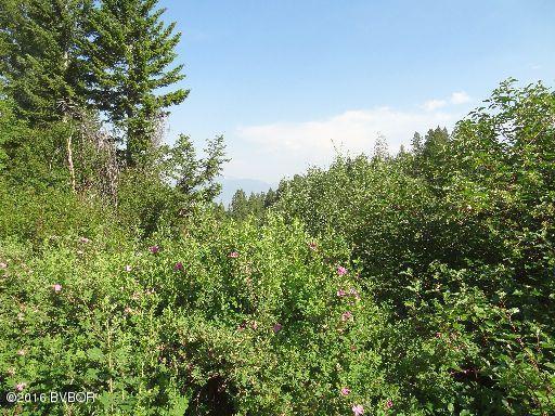 01Soft Rock RD, Corvallis, MT 59828
