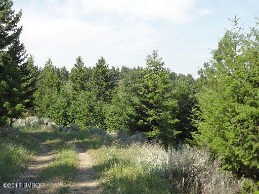 01Soft Rock RD, Corvallis, MT 59828