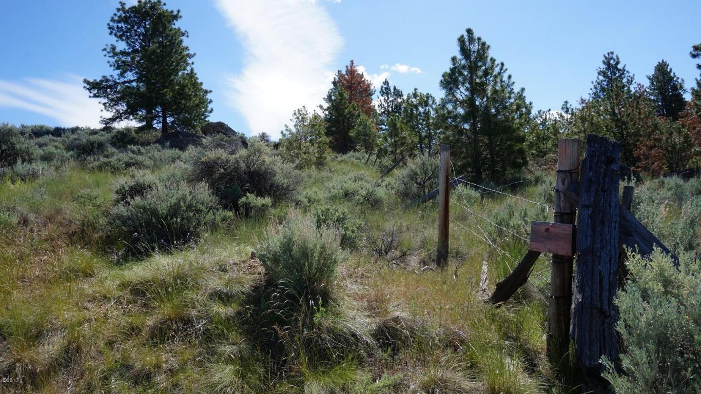 2187 Sapphire Ranch Trail, Corvallis, MT 59828