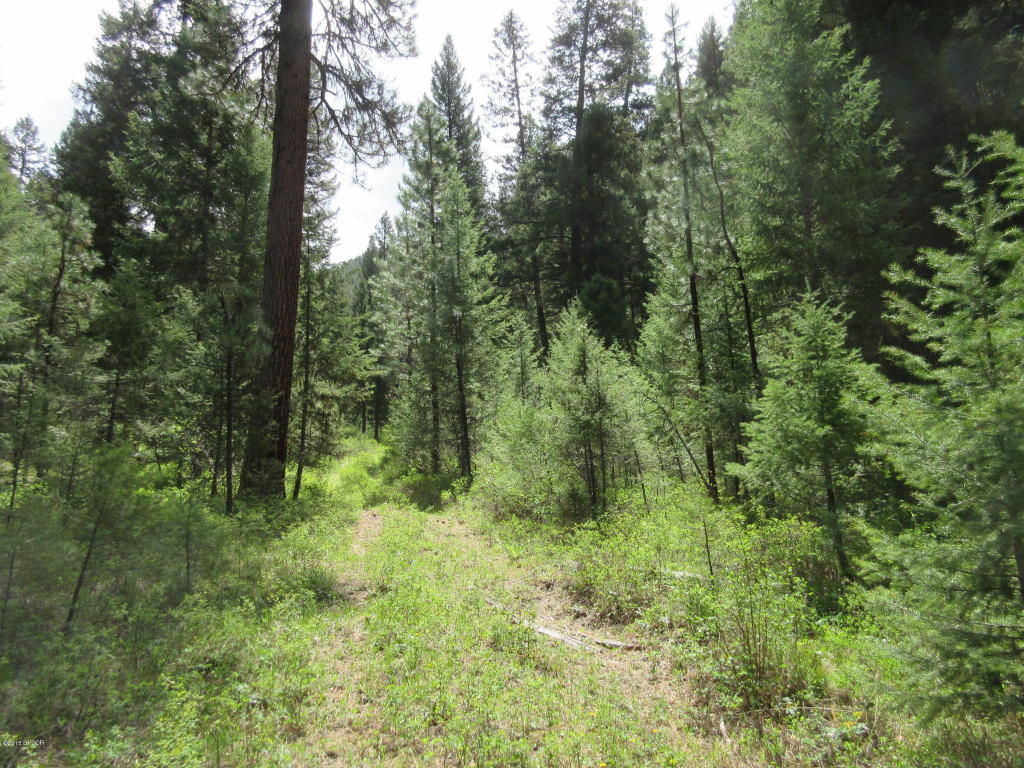 Nkn4th Of July Gulch RD, Darby, MT 59829