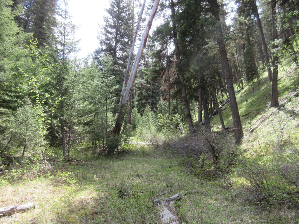 Nkn4th Of July Gulch RD, Darby, MT 59829