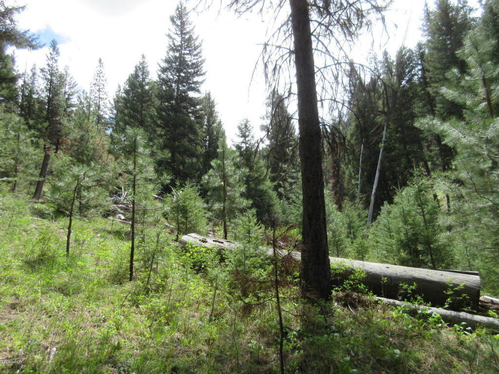 Nkn4th Of July Gulch RD, Darby, MT 59829