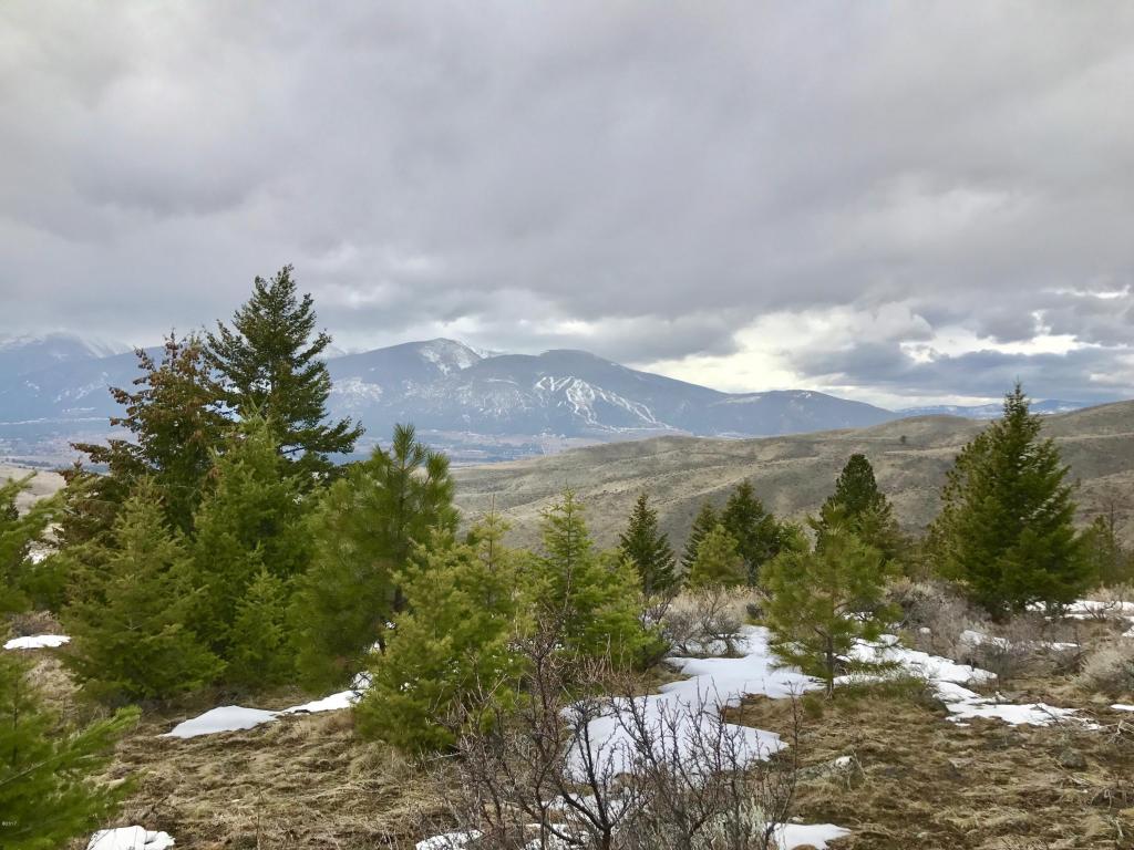 Nhn Dragonfly Lane, Florence, MT 59833