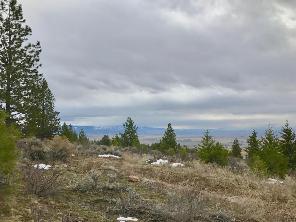 Nhn Dragonfly Lane, Florence, MT 59833