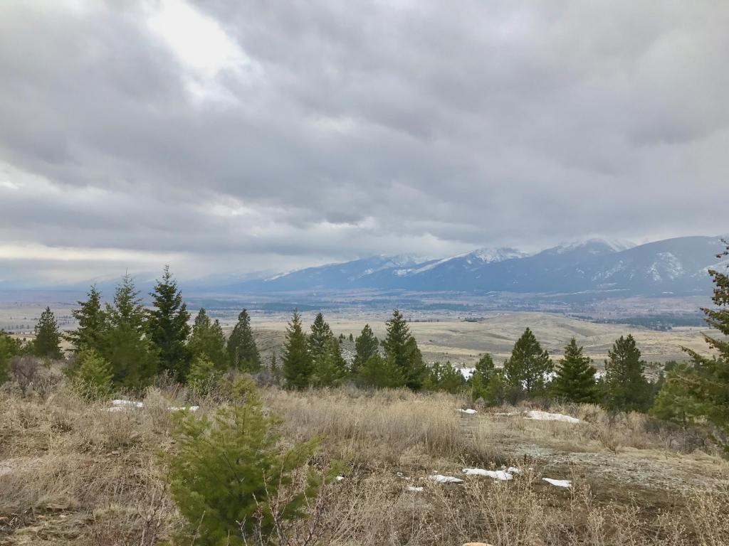 Nhn Dragonfly Lane, Florence, MT 59833