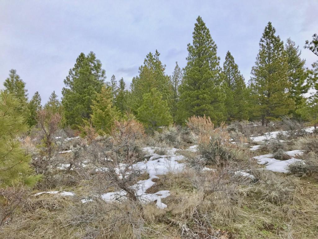Nhn Dragonfly Lane, Florence, MT 59833