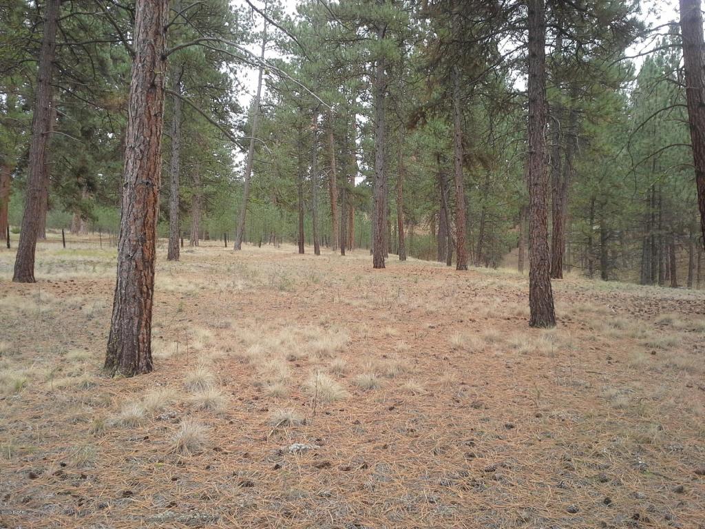 NhnBull Run, Florence, MT 59833