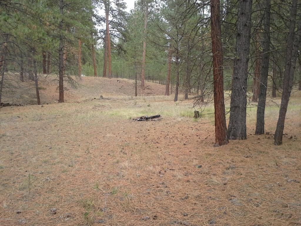 NhnBull Run, Florence, MT 59833
