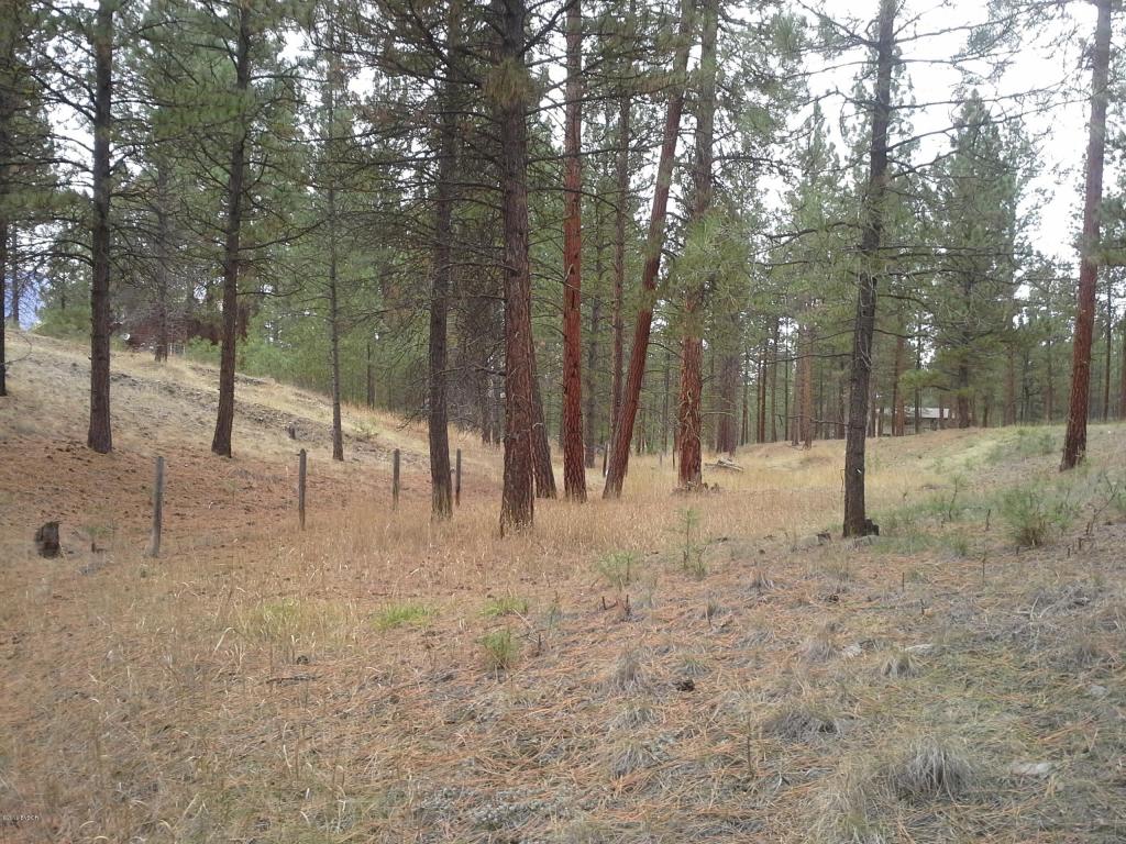 NhnBull Run, Florence, MT 59833
