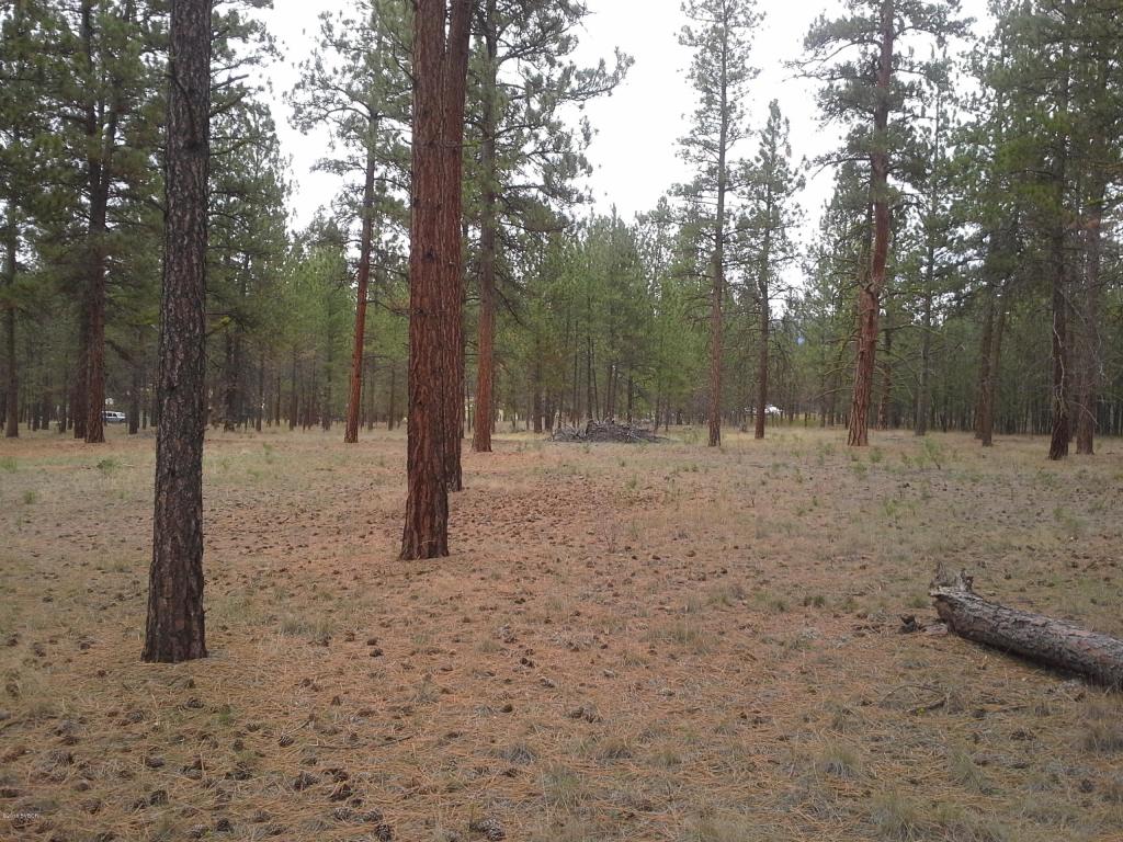 NhnBull Run, Florence, MT 59833