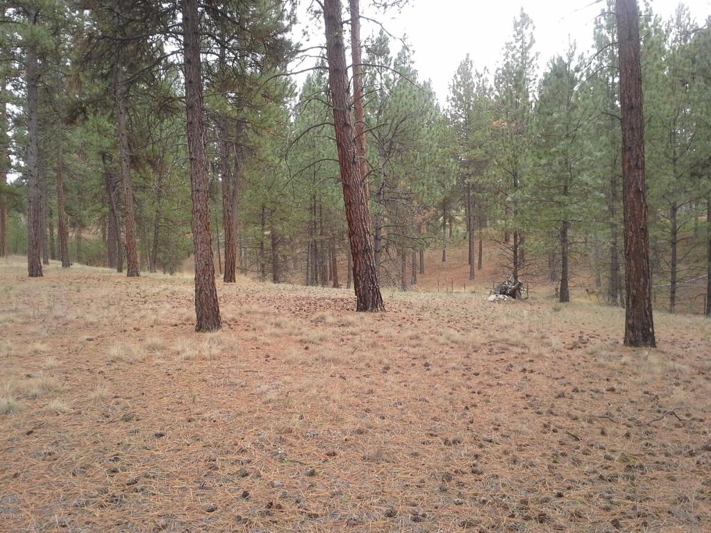 NhnBull Run, Florence, MT 59833