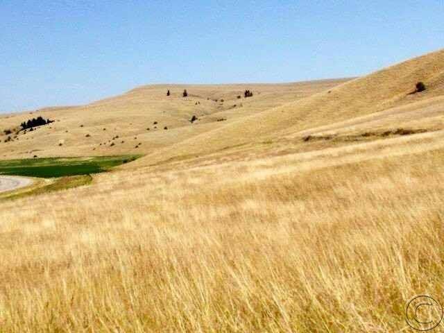 5062 Mt Highway 1, Hall, MT 59837