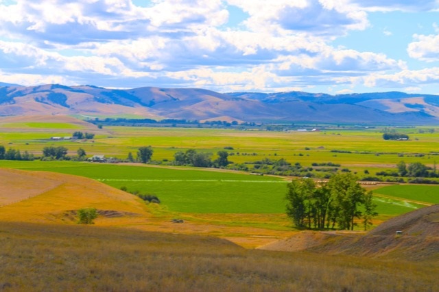 NHN Partridge Ln, Outside Area - Southwest, MT 59837