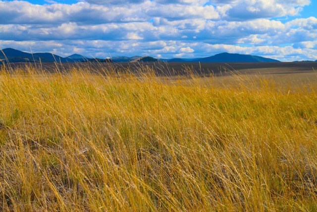 NHN Partridge Ln, Outside Area - Southwest, MT 59837