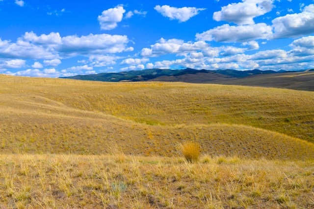 NHN Partridge Ln, Outside Area - Southwest, MT 59837