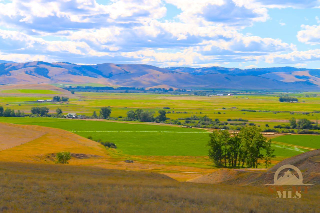 NHN Partridge, Hall, MT 59837