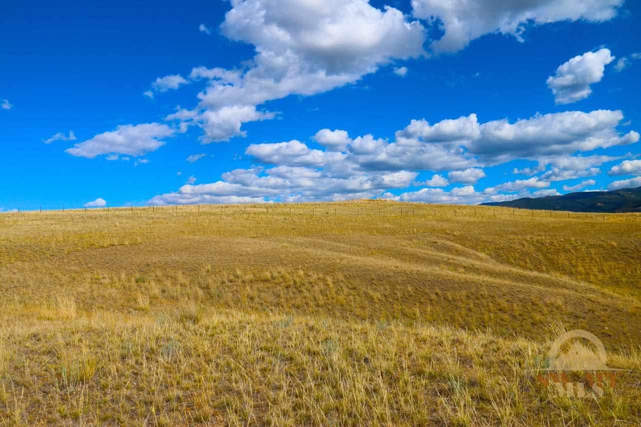 NHN Partridge, Hall, MT 59837