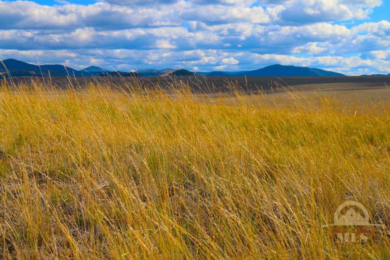 NHN Partridge, Hall, MT 59837