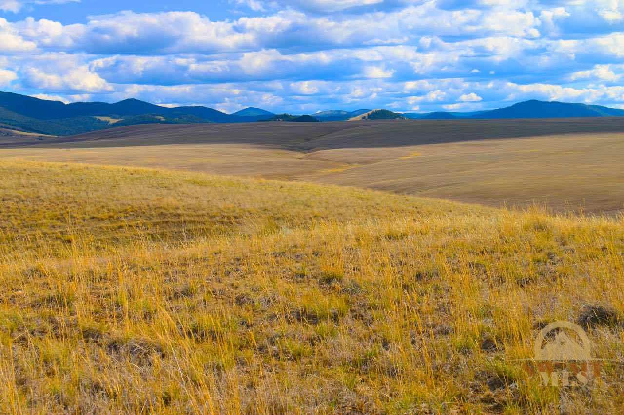 NHN Partridge, Hall, MT 59837