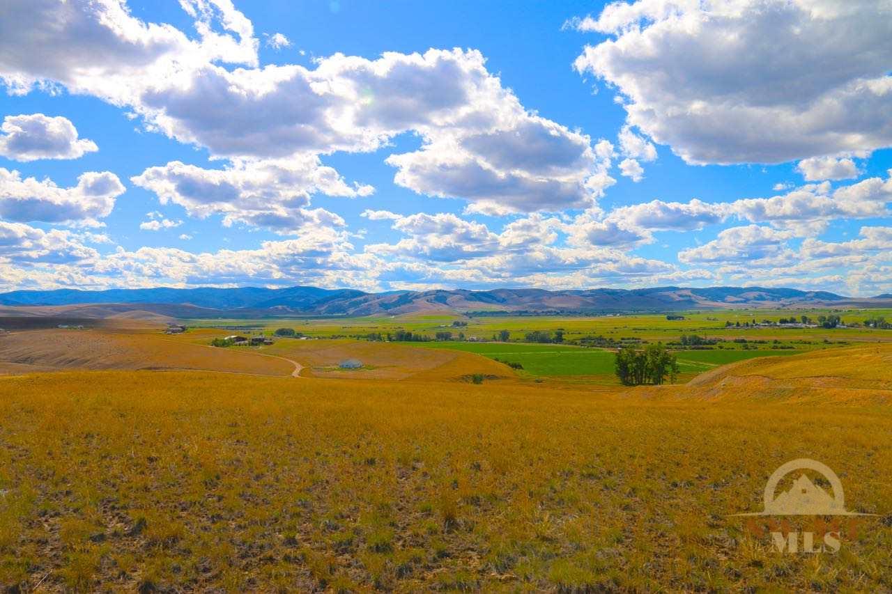 NHN Partridge, Hall, MT 59837