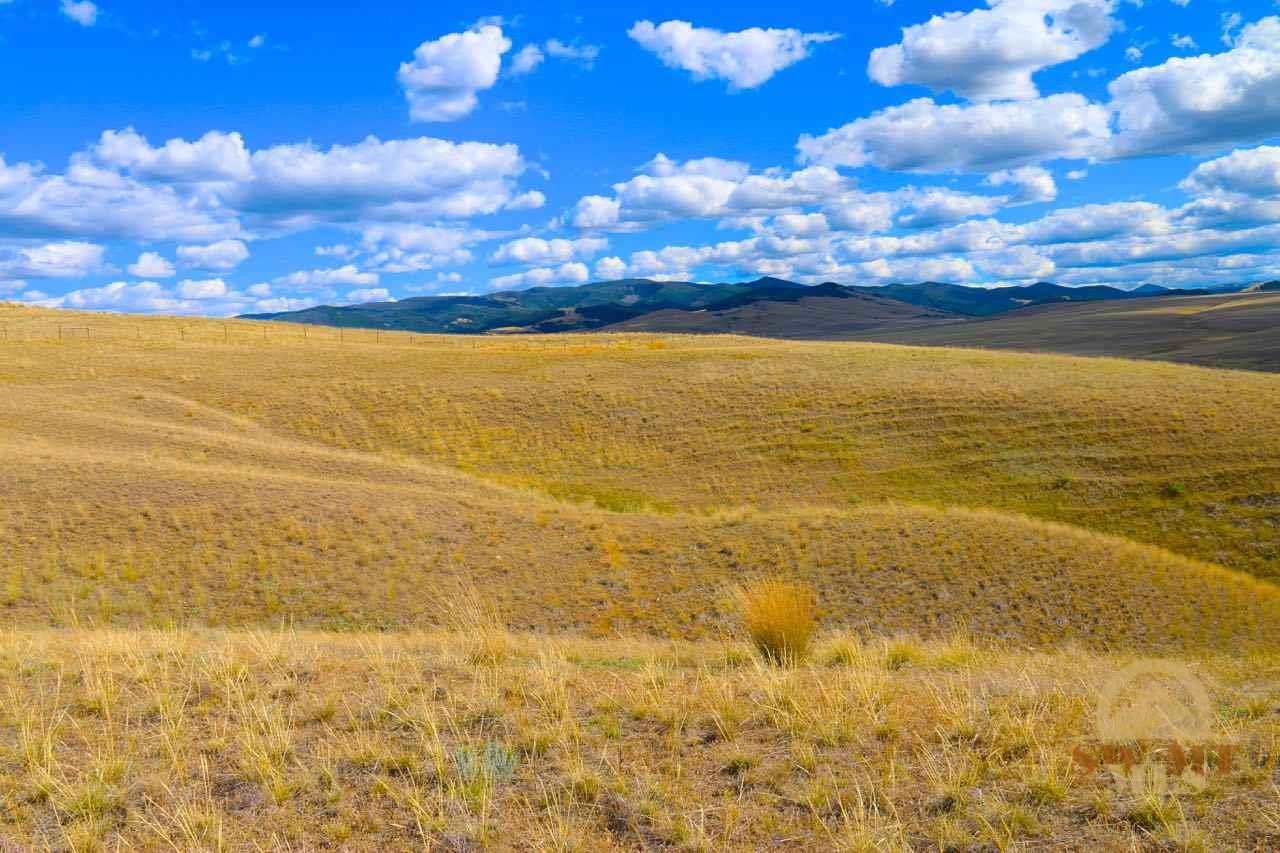 NHN Partridge, Hall, MT 59837