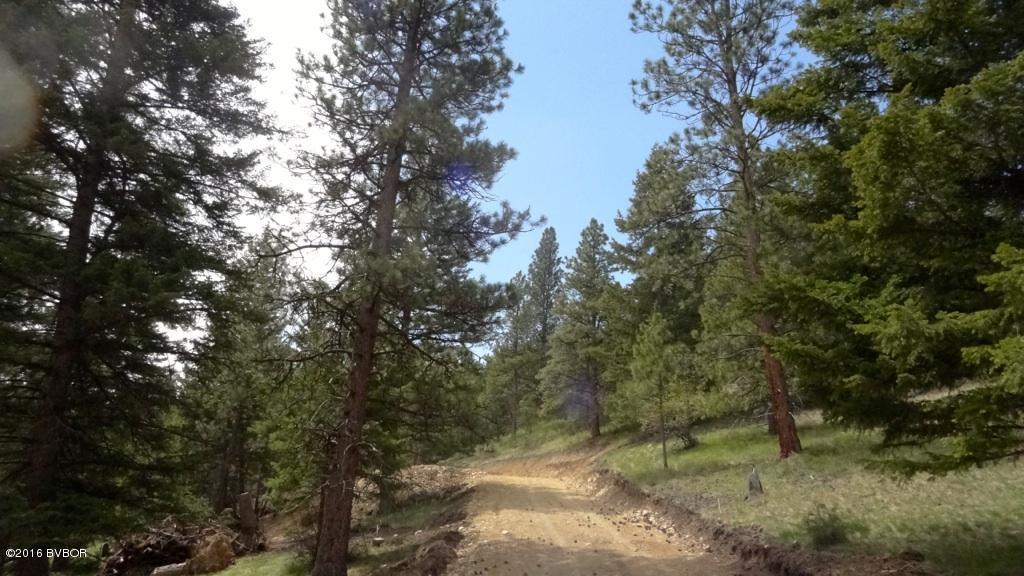 141Dunbar DR, Hamilton, MT 59840
