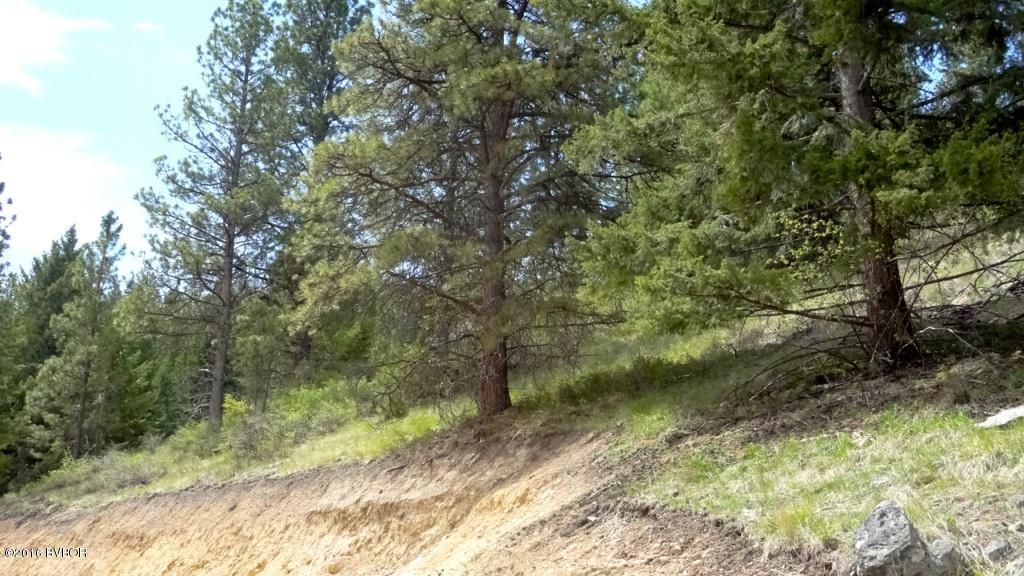 141Dunbar DR, Hamilton, MT 59840