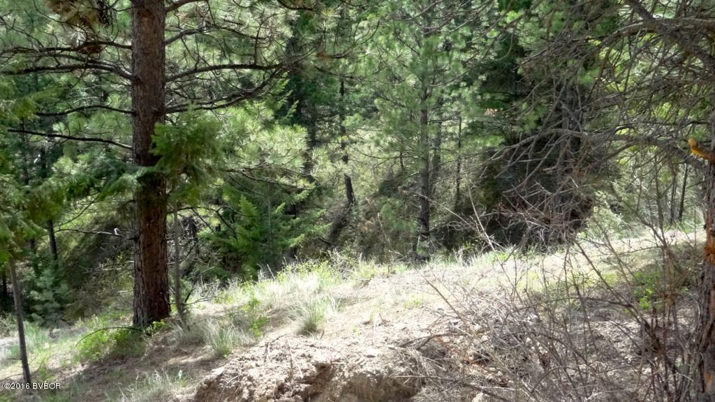 141Dunbar DR, Hamilton, MT 59840