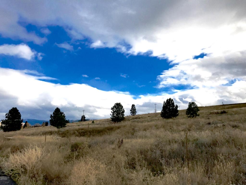 865Cochise WAY, Hamilton, MT 59840