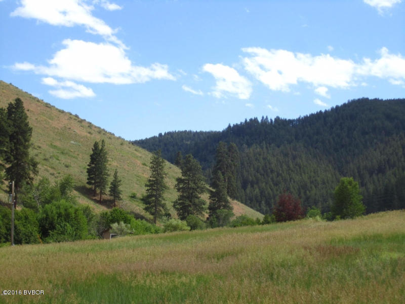 1790Little Sleeping Child RD, Hamilton, MT 59840