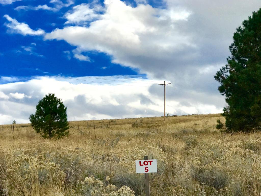 844Cochise WAY, Hamilton, MT 59840